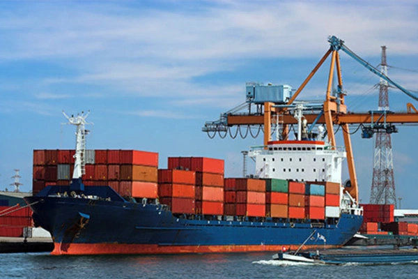 Import Export